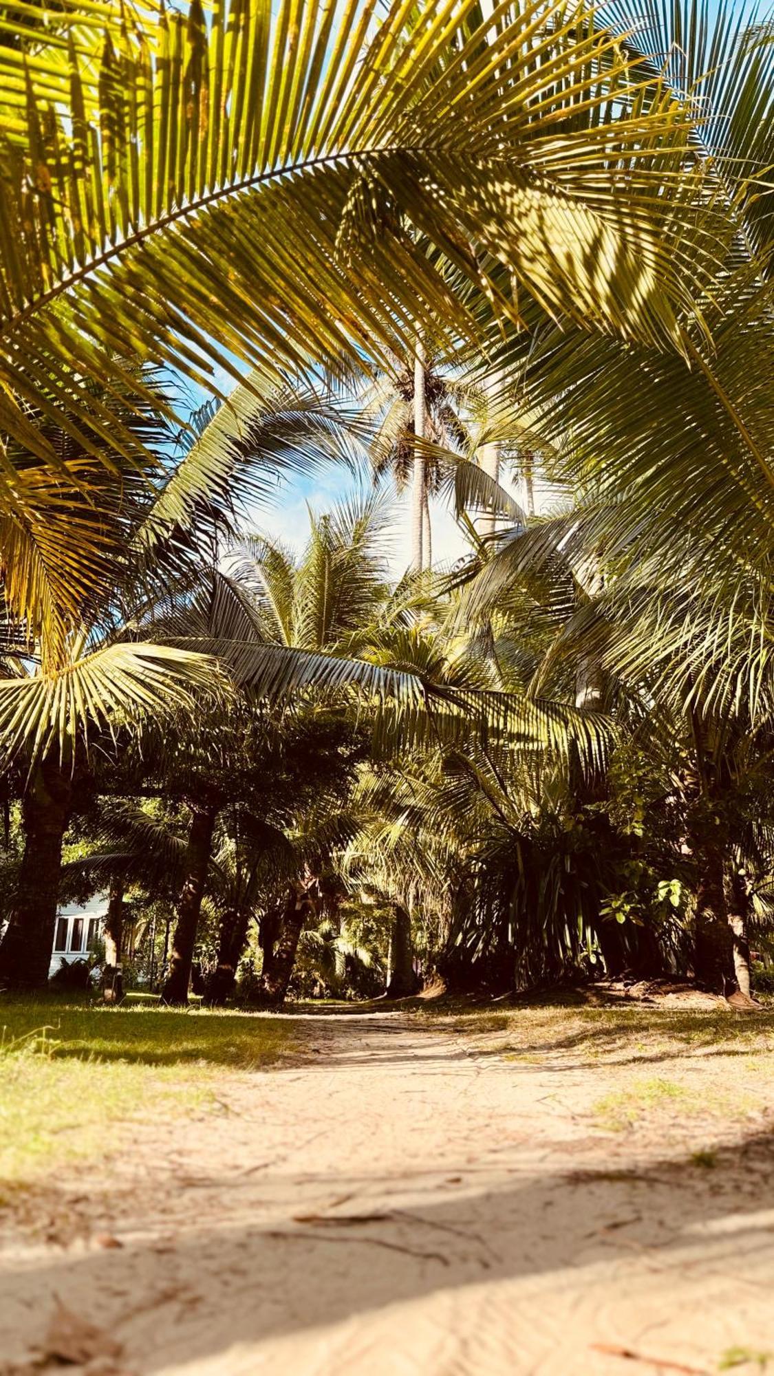 Suan Maprao Ko Kut Resort Exterior foto